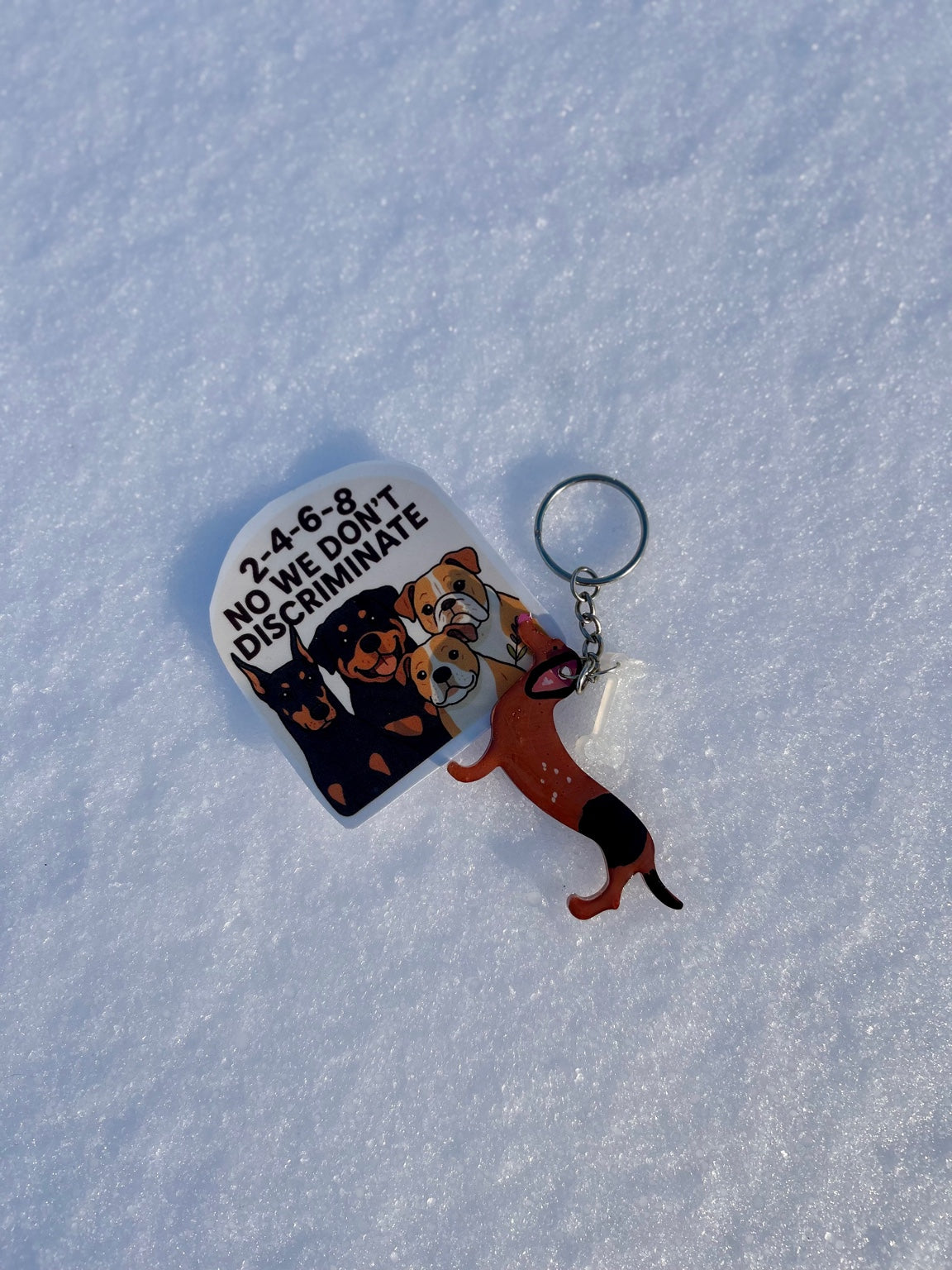 Daud Dog Keychain & Anti-Discrimination Sticker Bundle